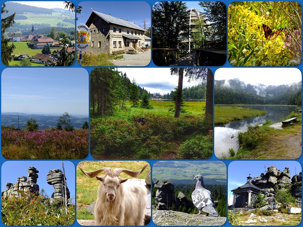 Impressionen von einem Wochenendausflug in den Nationalpark Bayerischer Wald