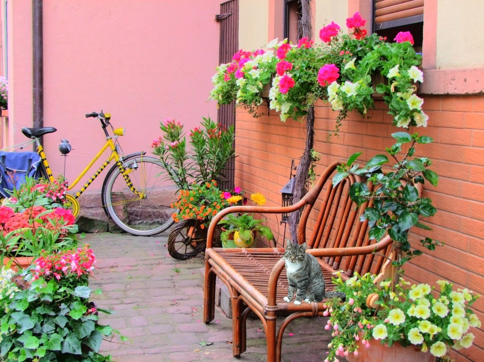 Das Fischerviertel in Lohr a. Main