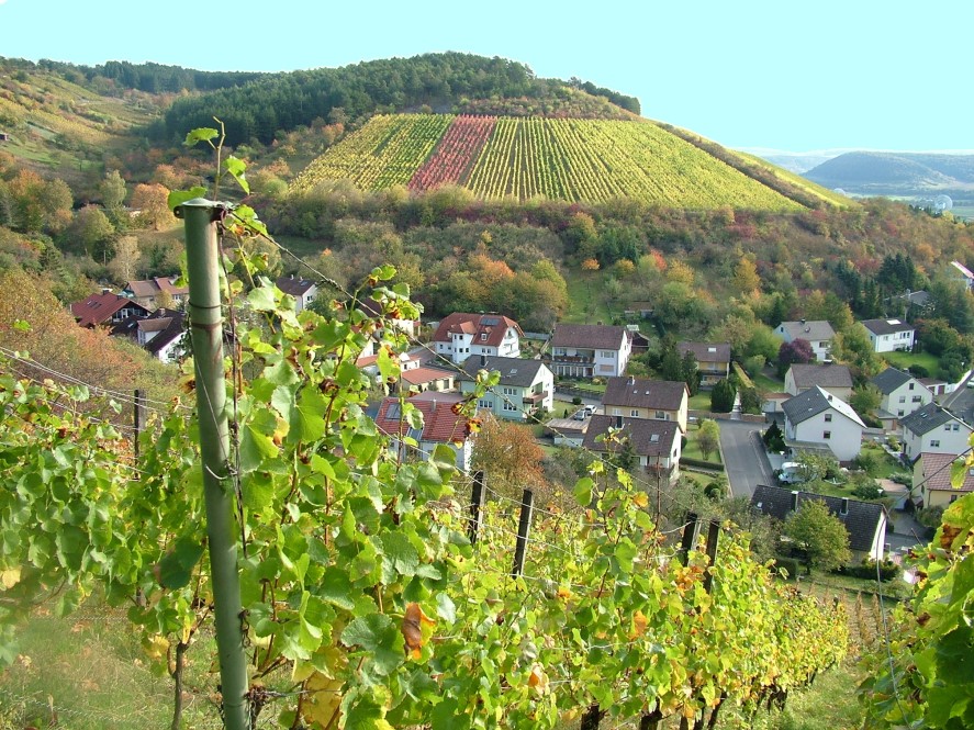 Herbstwanderung Rund um Hammelburg
