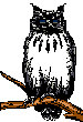 UHU Vogel des Jahres 2005