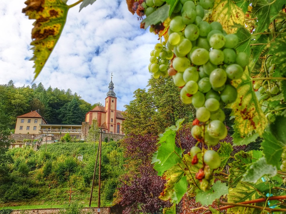Herbst im Buchental bei Maria Buchen