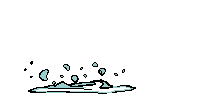 meefischle