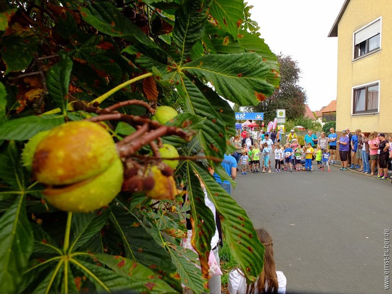 gonserlauf2018__048.jpg