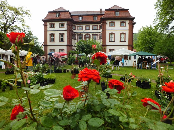 schloss_steinbach_2012_368.jpg