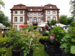 schloss_steinbach_2012_328.jpg