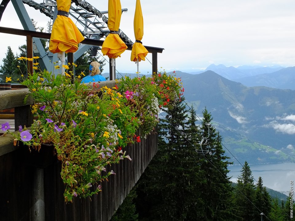zellamsee__578.jpg