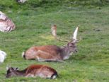 klettergarten_194.jpg