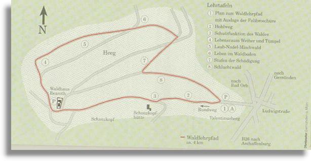 Waldlehrpfad Grafik von Ambrasius Gemünden a. Main