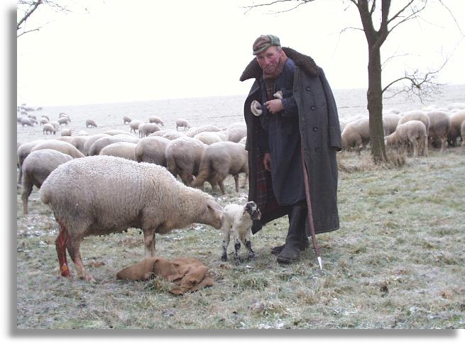 Schäfer Karl - Heinz Kohlhepp