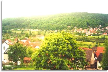 Blick auf Pflochsbach von der Talstrasse