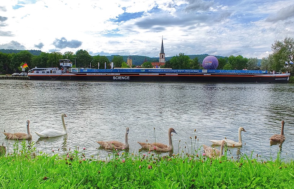 Die MS Wissenschaft vor Anker in Lohr a. Main