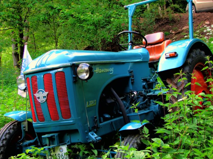 schlepper073.jpg