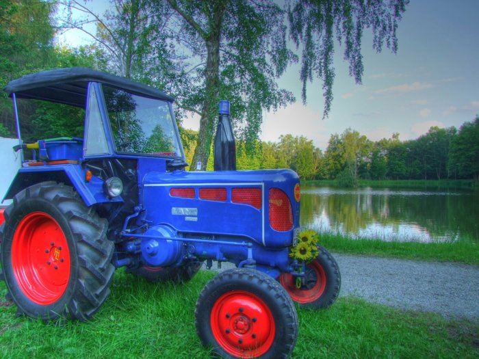 schlepper213.jpg