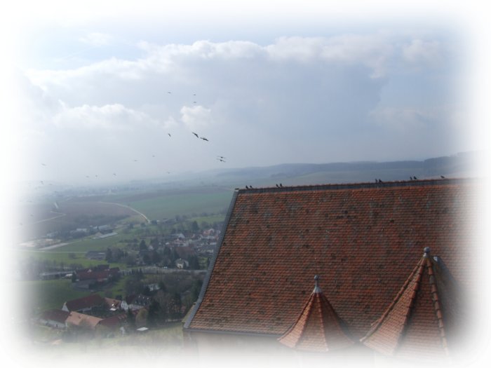 ronneburg_068.jpg