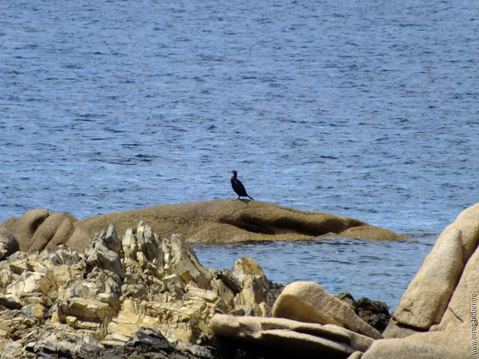 sardinien2018_021.jpg