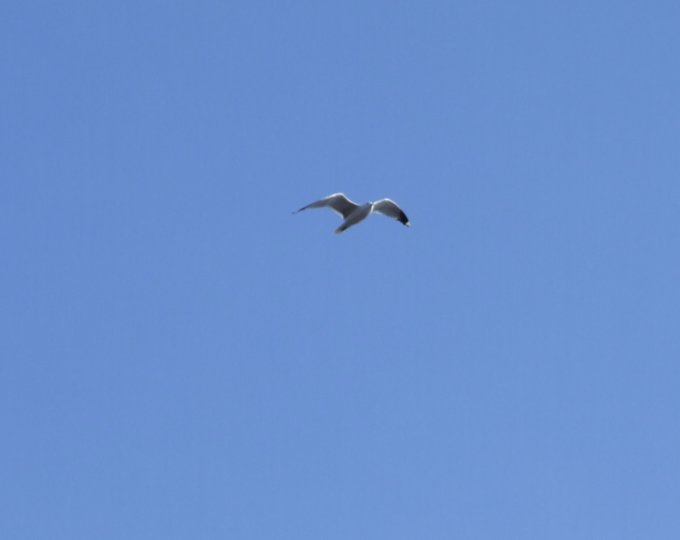 dscf7735.jpg