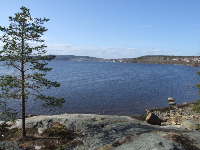 dscf7767.jpg