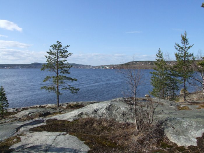 dscf7769.jpg