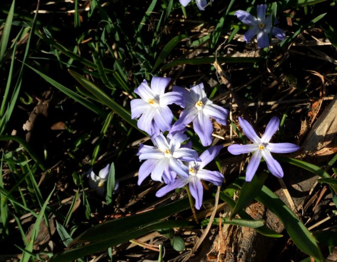 dscf7788.jpg