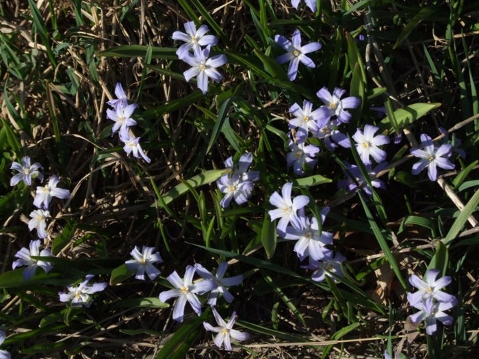 dscf7790.jpg