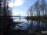 dscf7744.jpg