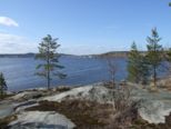 dscf7769.jpg
