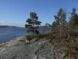 dscf7775.jpg