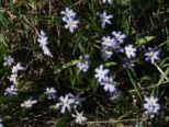 dscf7790.jpg