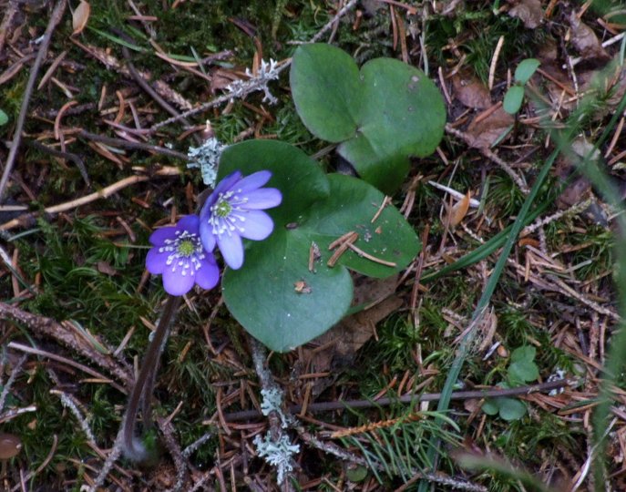 oerndskoldsvik_09__040.jpg