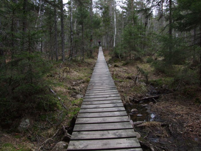 oerndskoldsvik_09__068.jpg