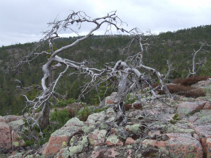 oerndskoldsvik_09__116.jpg