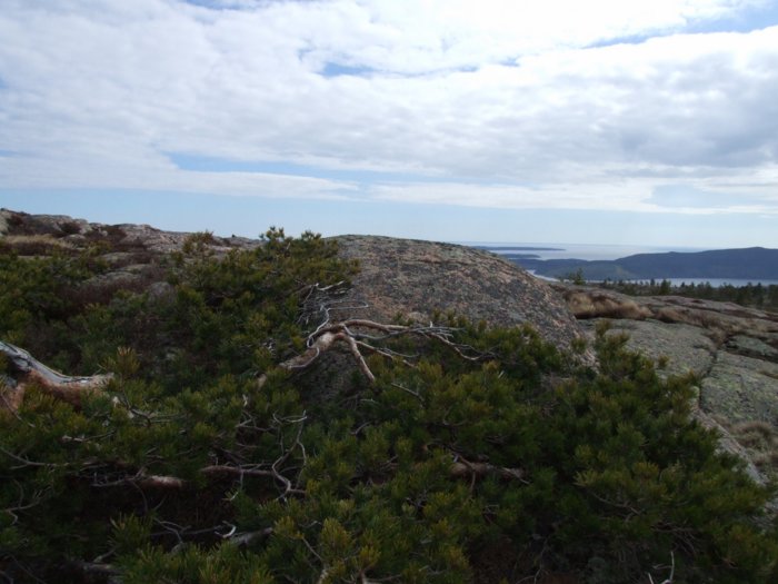 oerndskoldsvik_09__233.jpg