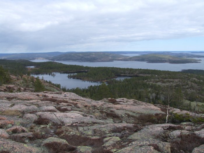 oerndskoldsvik_09__248.jpg