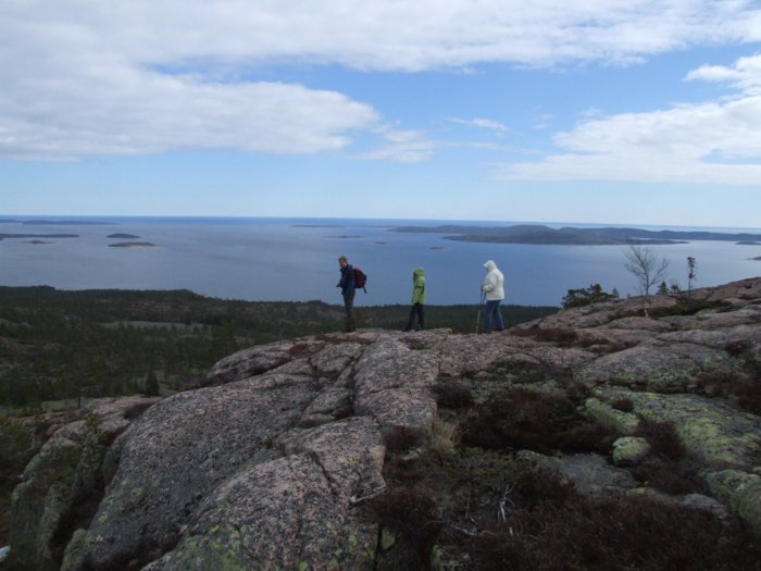 oerndskoldsvik_09__259.jpg