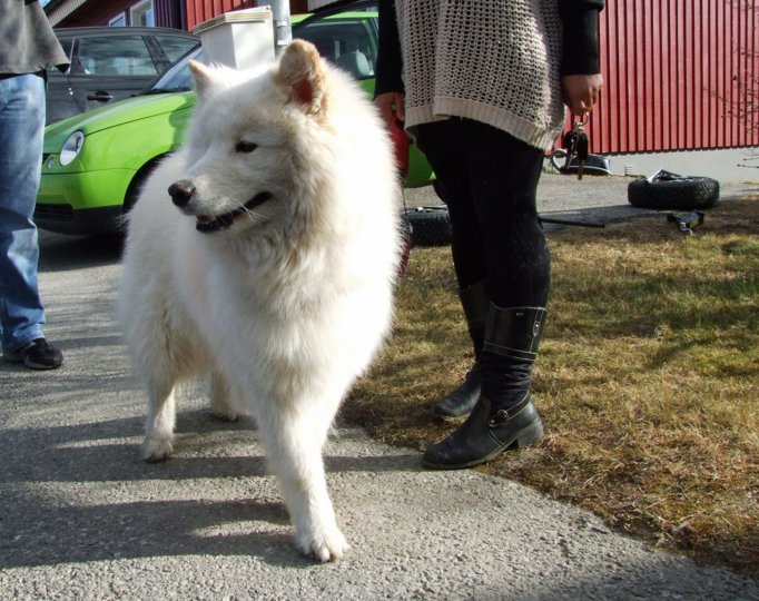 oerndskoldsvik_09__355.jpg