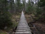 oerndskoldsvik_09__068.jpg