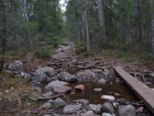 oerndskoldsvik_09__076.jpg