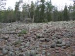 oerndskoldsvik_09__080.jpg