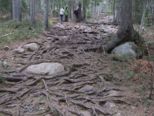 oerndskoldsvik_09__090.jpg