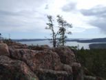 oerndskoldsvik_09__157.jpg