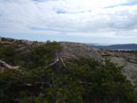 oerndskoldsvik_09__233.jpg