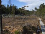 oerndskoldsvik_09__340.jpg