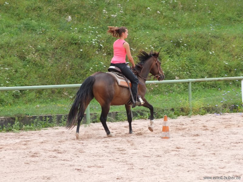 reining__265.jpg