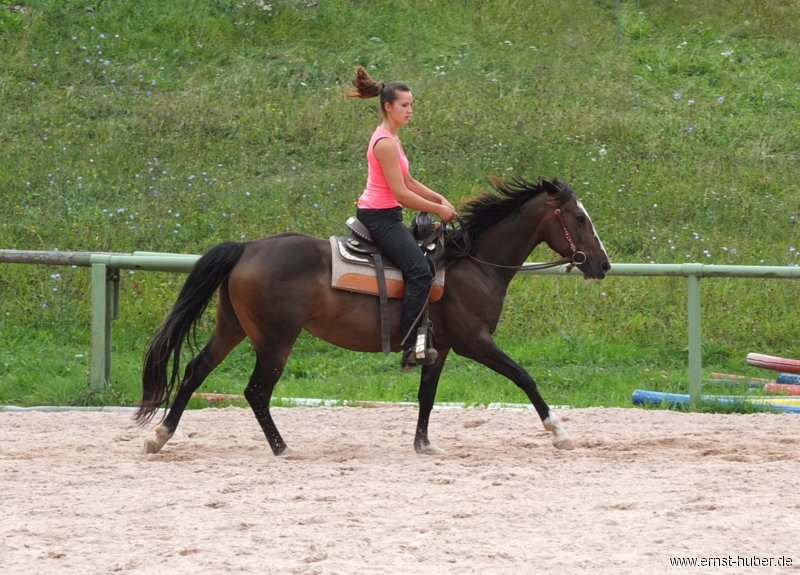 reining__270.jpg