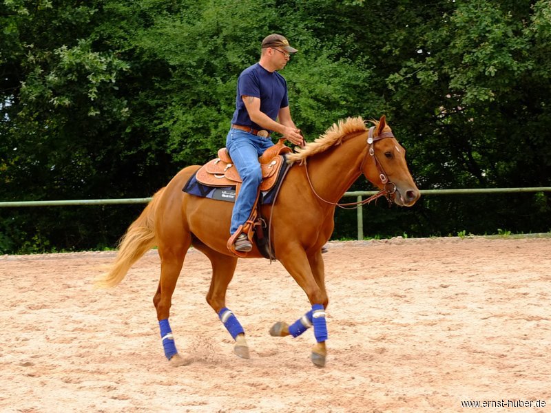 reining__276.jpg