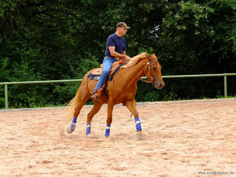 reining__277.jpg