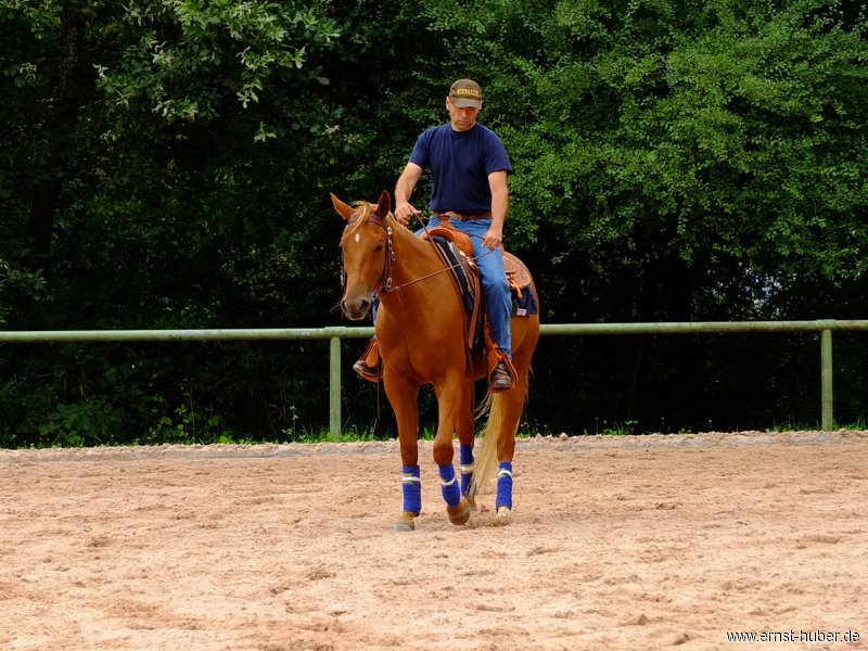reining__279.jpg