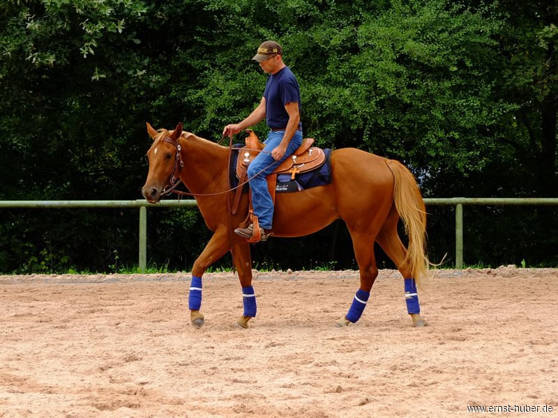 reining__280.jpg