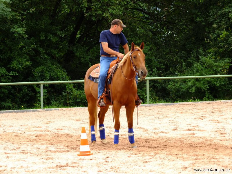reining__286.jpg