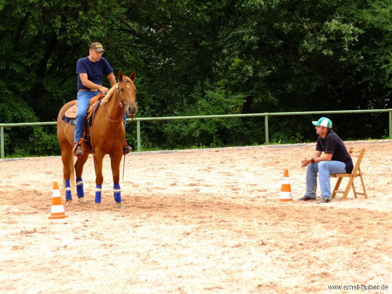 reining__287.jpg